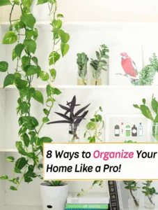 Organize Your Home Like a Pro with These 8 Solid Organizing Rules! - Everything Abode