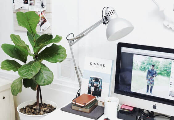Buy Some Plants if you work from home via @everythingabode