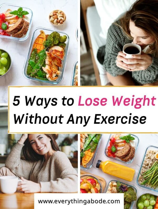 how to lose weight without exercise (3)