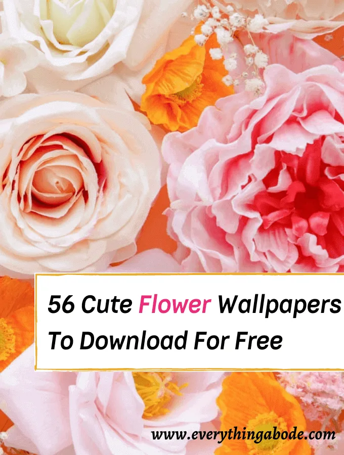 49 Cute iPhone Wallpapers for Girls  WallpaperSafari