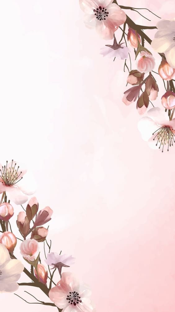 Pink Flower Petals In White Aesthetic Background HD White Aesthetic  Wallpapers  HD Wallpapers  ID 83581