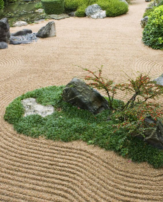 Create a Tranquil Zen Rock Garden