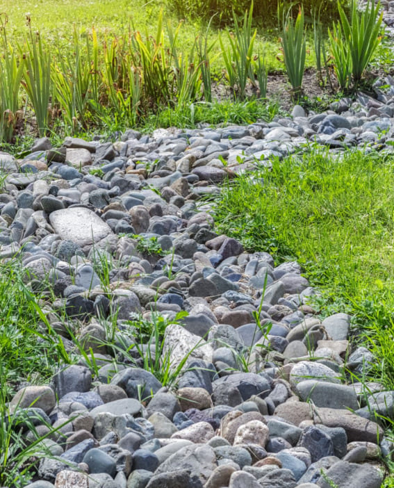 Create a Tranquil River Rock Garden