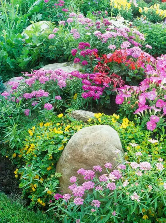 Plant a Cottage Garden with Abundant Blooms