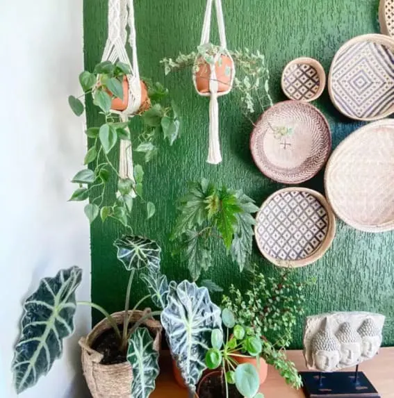 Lush indoor garden with hanging plants and decorative baskets