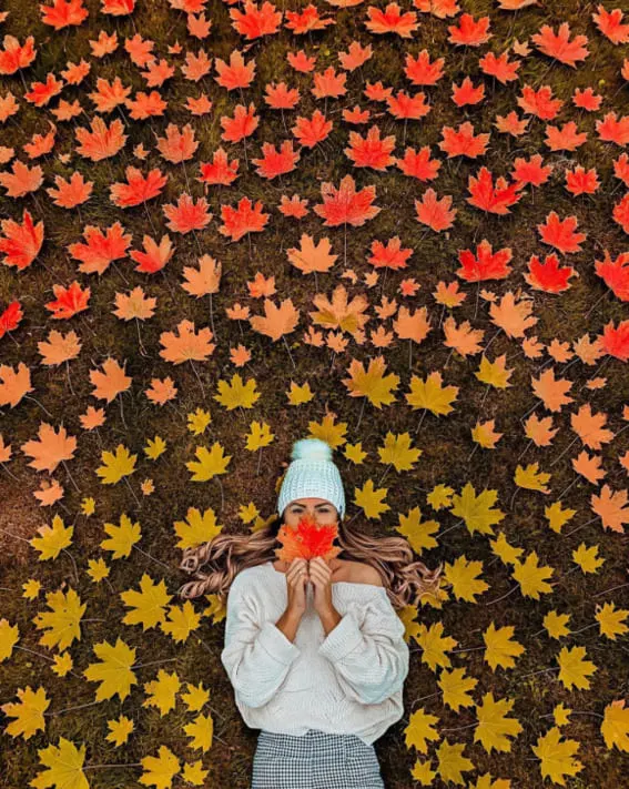 Woman in a cozy fall outfit with a knit sweater and beanie surrounded by colorful leaves. 