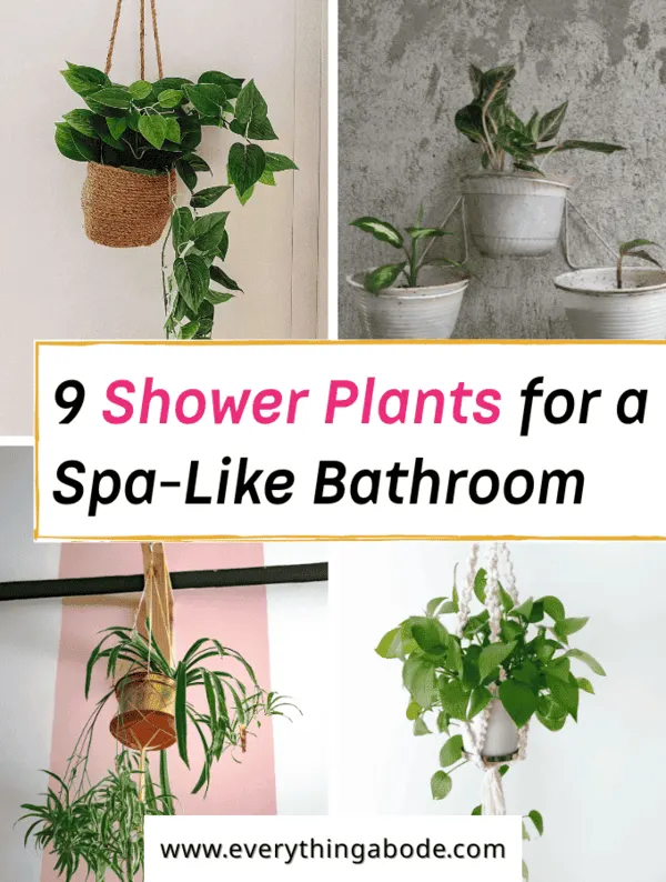 shower plants