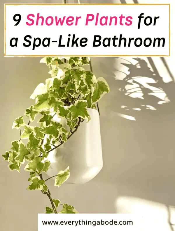 shower plants