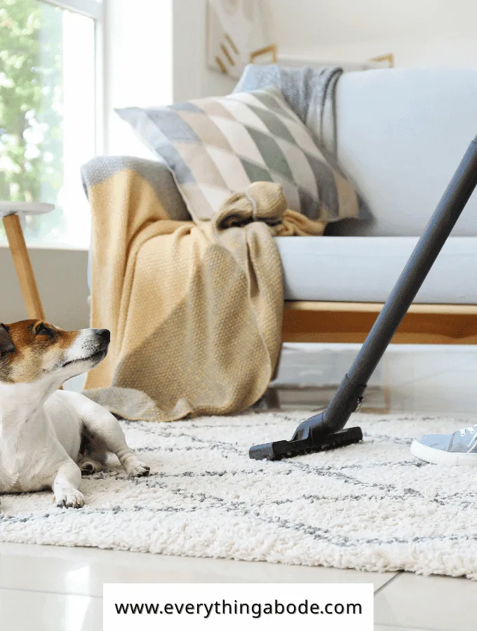 vintage cleaning, a vacuum with a dog on the carpet